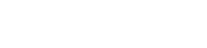 ViriFlow